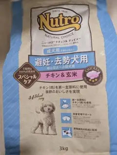 Item thumbnail for item f4cd8590-b6e8-45c6-9002-67ab9f2f2231