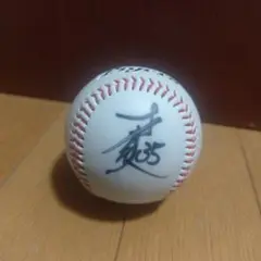 才木浩人 阪神タイガース 球団ロゴ入り直筆サインボール