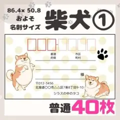 【柴犬①】宛名シール　差出人シール　普通サイズ　40枚　シンプル　動物　犬