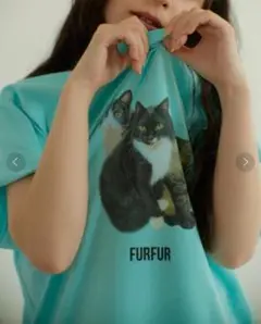 【FURFUR×上國料萌衣】トリプルキャットフォトTシャツ コラボ 半袖 猫