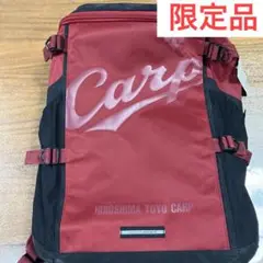 美品　デサント　DESCENTE Carp 迷彩柄リュック 2025年最新】カープ リュック デサントの人気アイテム - メルカリ