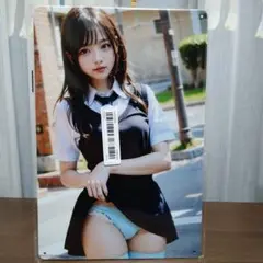 女性イラスト インテリア装飾メタルアート【新品未開封品】【1点物】