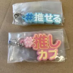 ガチャ　カプセル　ラバーキーホルダー