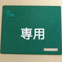 Item thumbnail for item 36880c9c-2d42-43ca-9a9c-22fee8b222a4