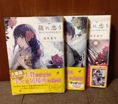 小説　龍に恋う 贄の乙女の幸福な身の上1〜3