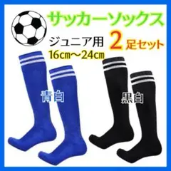 16-24cm サッカー ソックス 2足セット キッズ ジュニア 子供用