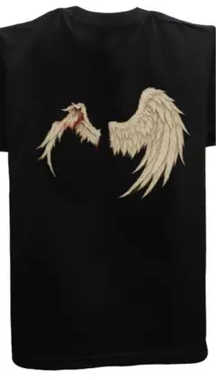 堕ちるしかない私の翼半袖Tシャツ