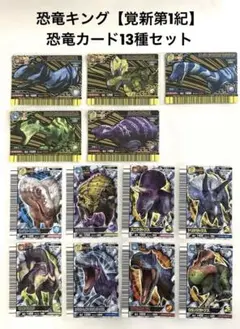 古代王者恐竜キング【目覚めよ!新たなる力‼︎第1紀】　恐竜カード13種セット