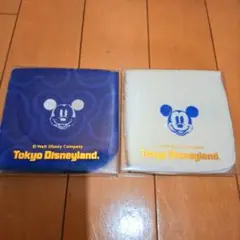 東京ディズニーランド ミッキーマウス タオル2枚セット
