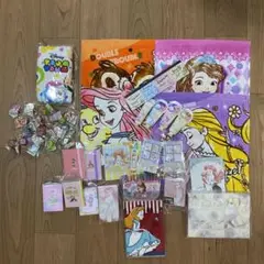 未使用 ディズニー ディズニープリンセス 雑貨 まとめ売り タオル 文具 メモ帳