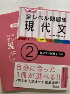 大学入試 全レベル問題集 現代文 2 センター試験レベル