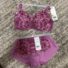 Wing Lesage ブラジャーショーツセット E65 M レシアージュ