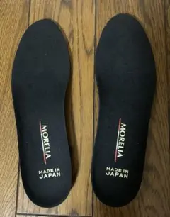 モレリア2JAPANインソール