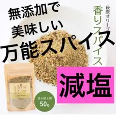 【新品】万能スパイス 減塩 オリーブ 化学調味料不使用 無添加　詰替50g