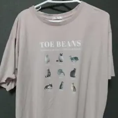 Honeys ハニーズ COLZA 半袖 Tシャツ トップス 綿100% ネコ猫
