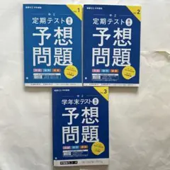 進研ゼミ中学講座 中2 定期テスト厳選予想問題 英数国 3冊セット
