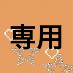 専用出品