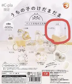 うちの子のけだまだま ハチワレ シープラ