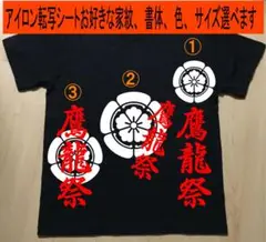 Item thumbnail for item 0c9bfbf6-53f1-46e4-9a16-c03a900b9a8d