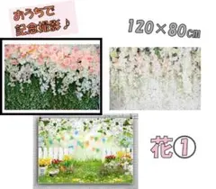 Item thumbnail for item c34f403b-a8b9-4743-aa92-8346af3b60bf
