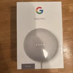 Google Next Mini