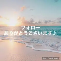 【超特大】アウトドア キャンプ ラグマット キリム オルテガ 総柄 ネイティブ柄