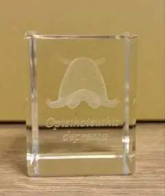 メンダコ　3D透明クリスタル　置物