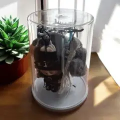 Item thumbnail for item 5d017ecf-ed66-46f6-ac13-546474afdd1d