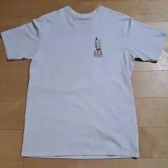 パタゴニアTシャツ　Sサイズ表記　Mサイズ相当