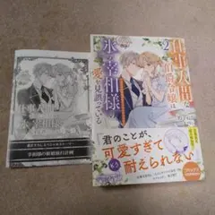 仕事人間な伯爵令嬢は氷の宰相様の愛を見誤っている 2 ～どうやら溺愛されている…