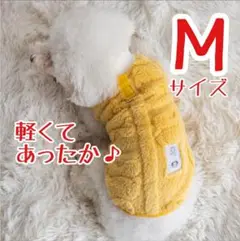 Item thumbnail for item 06eaad44-dfc6-4a5d-a28c-cdab004a5e08