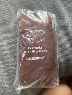 パタゴニア　Terravia Mini Hip Pack