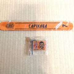 清水エスパルス カピシャーバ選手 ガチャセット