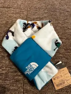 Item thumbnail for item 685fc50b-dcb7-4cd8-b147-fa83a8093439