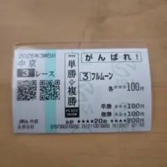 中京競馬場 フルムーン 単勝・複勝馬券