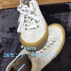 着用感ありvans ローカットスニーカー スケーター