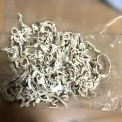 Item thumbnail for item f83c3194-3b98-4821-b201-9d0ebeb0067d