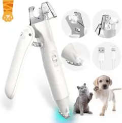 Item thumbnail for item e52de5a3-6580-493d-b5a7-e5c5793bcea4