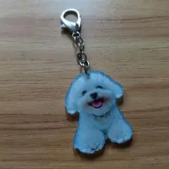 新品未使用の可愛いビション・フリーゼ アクリルキーホルダー