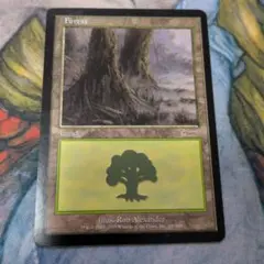 【MTG】森/Forest　初代アリーナランド版10枚セット 森/Forest》[神河アリーナランド] 土地 | 日本最大級 MTG通販