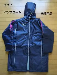 Item thumbnail for item 79706a68-675f-4208-9644-fb50e95c4fa6