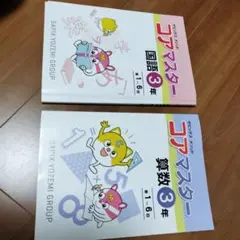 2025年最新】sapix 3年生 夏期講習の人気アイテム - メルカリ