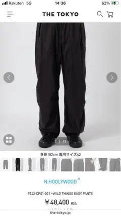 N.HOOLYWOOD WILD THINGS EASY PANTS サイズ42