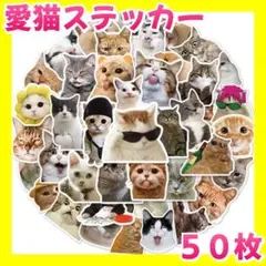 Item thumbnail for item cfe9b104-faef-4ba3-b4c4-68c6f310ff78