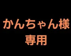 電熱グローブ★Lサイズ!