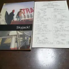 Skyjack! Tim Vicar ワ−クブツク解答編(全文訳付き)