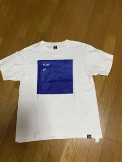 FPAR×Richardson TEE