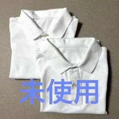 Item thumbnail for item 0fb4a027-a126-4140-8618-2e71f9adebf6