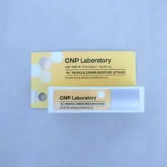 Item thumbnail for item 2afb8777-4697-4a4f-8880-78c63d3d51b8