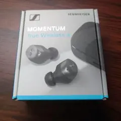 Item thumbnail for item 4a6ae80a-4756-46a5-a472-fe9307107b27